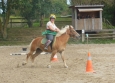 Pony Games aux Ecuries de la Gare Normandie