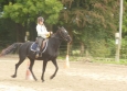 Pony Games aux Ecuries de la Gare Normandie