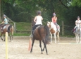 Pony Games aux Ecuries de la Gare Normandie