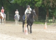 Pony Games aux Ecuries de la Gare Normandie