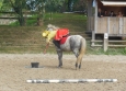 Pony Games aux Ecuries de la Gare Normandie