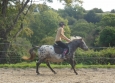 Pony Games aux Ecuries de la Gare Normandie