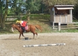 Pony Games aux Ecuries de la Gare Normandie