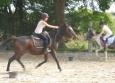 Pony Games aux Ecuries de la Gare Normandie