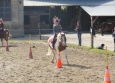 Pony Games aux Ecuries de la Gare Normandie