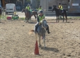 Pony Games aux Ecuries de la Gare Normandie