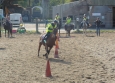 Pony Games aux Ecuries de la Gare Normandie