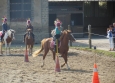 Pony Games aux Ecuries de la Gare Normandie