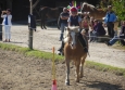 Pony Games aux Ecuries de la Gare Normandie