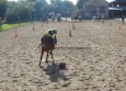 Pony Games aux Ecuries de la Gare Normandie