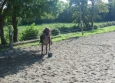 Pony Games aux Ecuries de la Gare Normandie