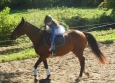 Pony Games aux Ecuries de la Gare Normandie