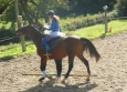 Pony Games aux Ecuries de la Gare Normandie