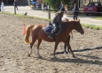 Pony Games aux Ecuries de la Gare Normandie