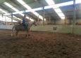 Equitation Western en Basse Normandie aux Ecuries de la Gare