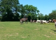 Equitation Western en Basse Normandie aux Ecuries de la Gare