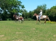 Equitation Western en Basse Normandie aux Ecuries de la Gare