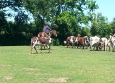 Equitation Western en Basse Normandie aux Ecuries de la Gare