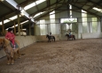 Stage à poney aux Ecuries de la Gare dans le Cotentin en Normandie