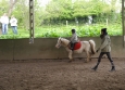 Stage à poney aux Ecuries de la Gare dans le Cotentin en Normandie