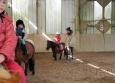 Stage à poney aux Ecuries de la Gare dans le Cotentin en Normandie