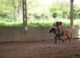 Stage à poney aux Ecuries de la Gare dans le Cotentin en Normandie