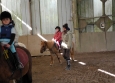 Stage à poney aux Ecuries de la Gare dans le Cotentin en Normandie