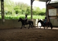 Stage à poney aux Ecuries de la Gare dans le Cotentin en Normandie