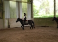 Stage à poney aux Ecuries de la Gare dans le Cotentin en Normandie