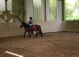 Stage à poney aux Ecuries de la Gare dans le Cotentin en Normandie