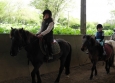 Stage à poney aux Ecuries de la Gare dans le Cotentin en Normandie