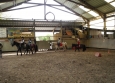 Stage à poney aux Ecuries de la Gare dans le Cotentin en Normandie