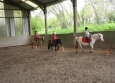 Stage à poney aux Ecuries de la Gare dans le Cotentin en Normandie