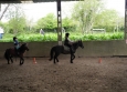 Stage à poney aux Ecuries de la Gare dans le Cotentin en Normandie