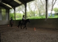 Stage à poney aux Ecuries de la Gare dans le Cotentin en Normandie