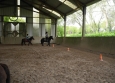 Stage à poney aux Ecuries de la Gare dans le Cotentin en Normandie