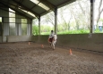 Stage à poney aux Ecuries de la Gare dans le Cotentin en Normandie