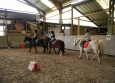 Stage à poney aux Ecuries de la Gare dans le Cotentin en Normandie