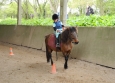 Stage à poney aux Ecuries de la Gare dans le Cotentin en Normandie