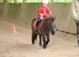 Stage à poney aux Ecuries de la Gare dans le Cotentin en Normandie