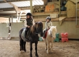 Stage à poney aux Ecuries de la Gare dans le Cotentin en Normandie