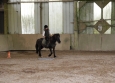 Stage à poney aux Ecuries de la Gare dans le Cotentin en Normandie