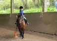 Stage à poney aux Ecuries de la Gare dans le Cotentin en Normandie