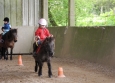 Stage à poney aux Ecuries de la Gare dans le Cotentin en Normandie