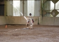 Stage à poney aux Ecuries de la Gare dans le Cotentin en Normandier