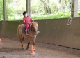 Stage à poney aux Ecuries de la Gare dans le Cotentin en Normandie