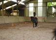 Stage à poney aux Ecuries de la Gare dans le Cotentin en Normandie