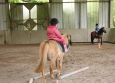 Stage à poney aux Ecuries de la Gare dans le Cotentin en Normandie