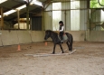 Stage à poney aux Ecuries de la Gare dans le Cotentin en Normandie