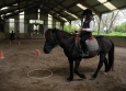 Stage à poney aux Ecuries de la Gare dans le Cotentin en Normandie